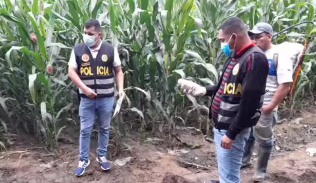 Efectivos de Investigación Criminal de Virú llegaron para investigar la muerte. Foto: captura video