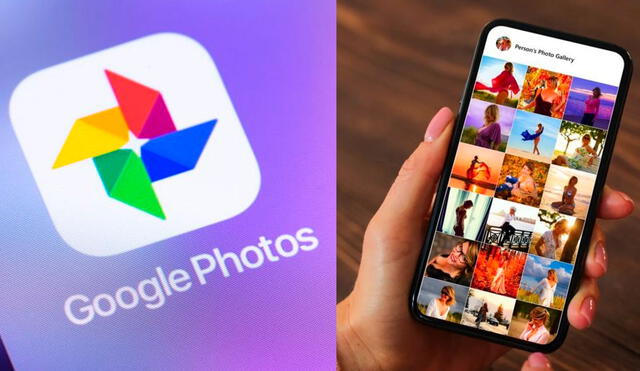 Existen opciones para descargar tus imágenes de Google Fotos con una copia de seguridad o manualmente. Foto: composición/Olhar Digital/difusión
