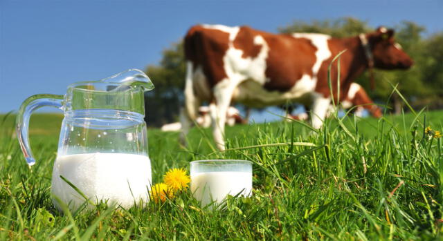 Esta conmemoración al lácteo se da desde el año 2001. Foto: Logic Alimentaria