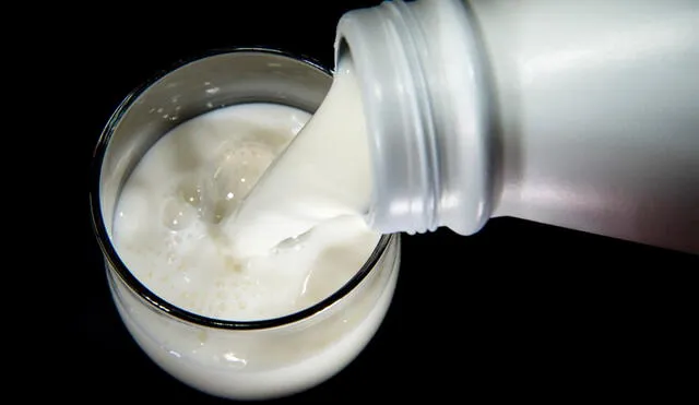 Expertos señalan que se deben ingerir al menos de 3 a 4 porciones diarias de leche. Foto: AFP.