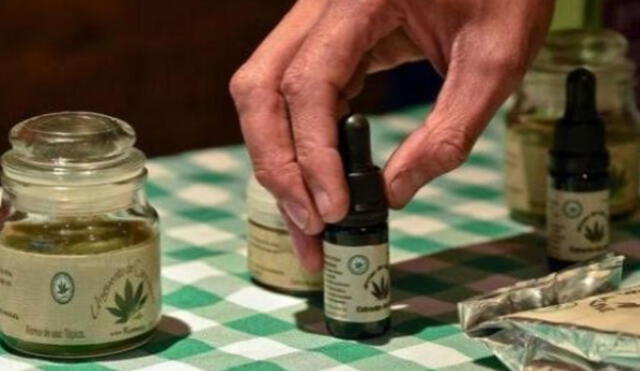 Uso de cannabis medicinal fue autorizado por el Congreso en 2019 mediante una Ley. Foto: difusión