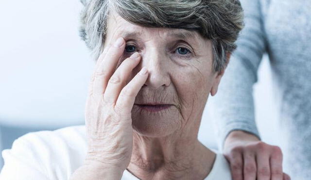 El Alzheimer destruye progresivamente el tejido cerebral, lo cual afecta la memoria de las personas. Foto: difusión/referencial