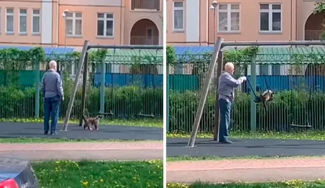 Una joven detuvo su caminata para captar la tierna escena entre su padre y su gato luego que los encontró jugando en los columpios de un parque. Foto: captura de Facebook