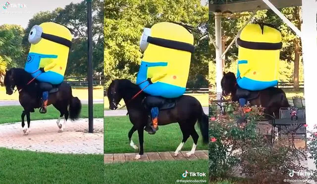 El hombre sorprendió a sus amistades con una entretenida dinámica mientras montaba su caballo con un traje de minion. Foto: captura de TikTok