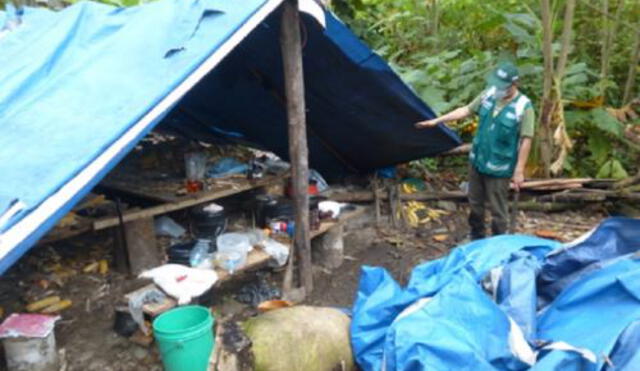 Autoridades encontraron campamentos a base de plásticos en bosque afectado de Cusco. Foto: Andina