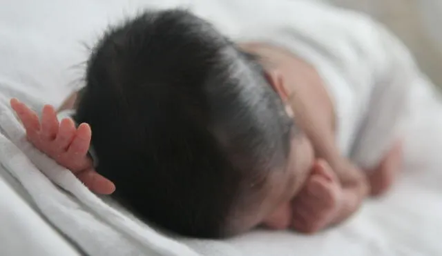 Entidad instó a los titulares de los hospitales corregir las observaciones realizadas en favor de una mejor atención de los recién nacidos. Foto: Andina.