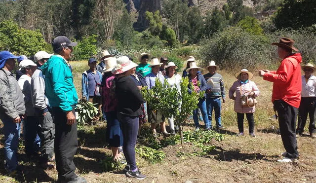 Agriculturos de Kakamarca fueron los beneficiados con capacitación agricola. Foto: Chavimochic