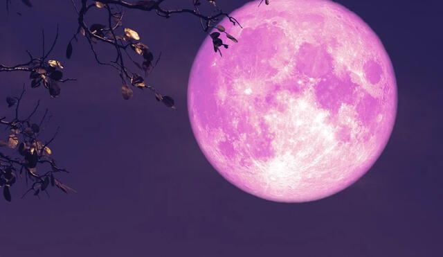 El término superluna se comenzó a utilizar en 1979 y describe lo que los astrónomos llaman Luna llena de perigeo. Foto: Shutterstock