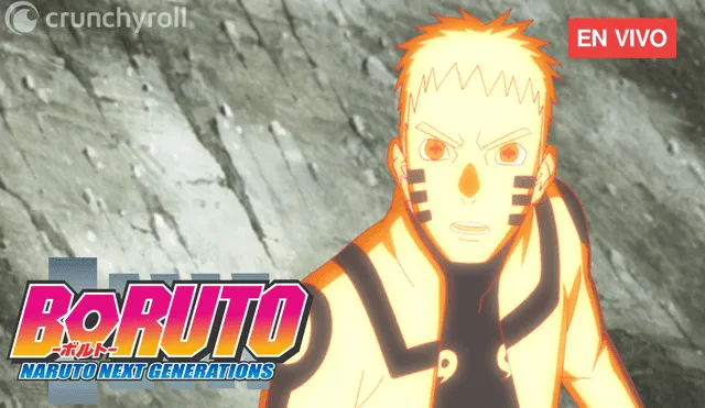 Assistir Boruto: Naruto Next Generations Episodio 205 Online