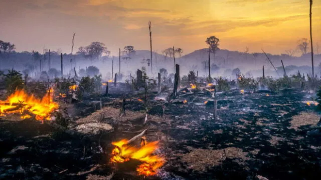 Los incendios en la selva tropical brasileña han alcanzado récords históricos bajo el mandato de Bolsonaro. Foto: EFE
