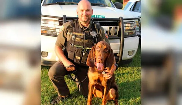 El perro sabueso Fred junto a Richard Tidwell, oficial de la brigada K9. Foto: Noticias Telemundo