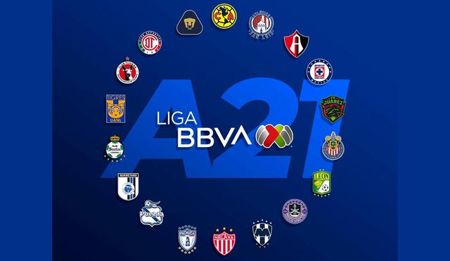 Serán 18 equipos los que se enfrenten en esta temporada en la búsqueda de ser campeones. Foto: Facebook Liga MX