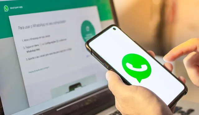 El soporte multidispositivo de WhatsApp permitirá usar tu cuenta en varios equipos, aunque el teléfono principal esté apagado o sin internet. Foto: Milenio