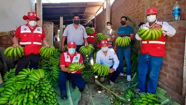 Promocionarán una buena alimentación con productos agrícolas en Piura. Foto: Dirección Regional de Agricultura