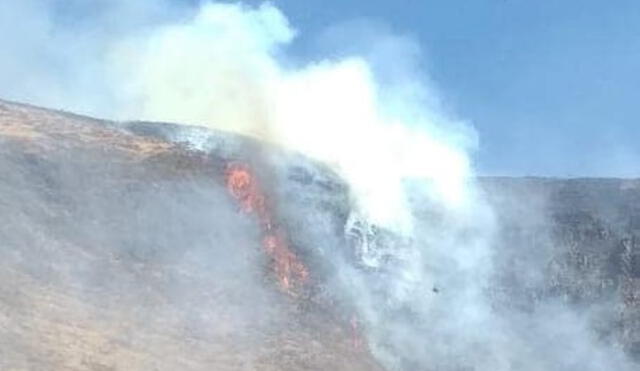 Los vecinos escalaron los cerros para intentar sofocar las llamas. Foto: Studio 96