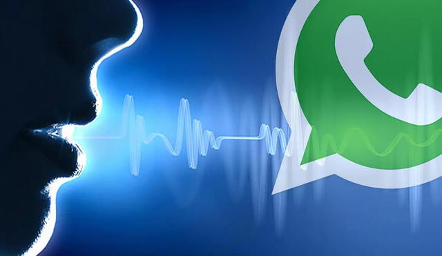 La herramienta no solo funciona en WhatsApp, también en Telegram u otras apps. Foto: ADSLZone