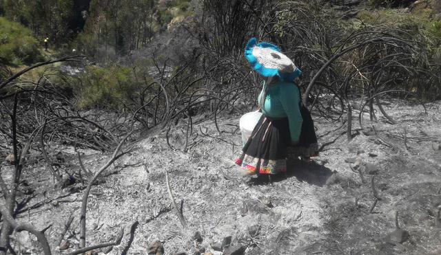 Cerca de tres hectáreas de pastos naturales fueron afectados en el sector de Ccachira. Foto: Codisec Ccatcca