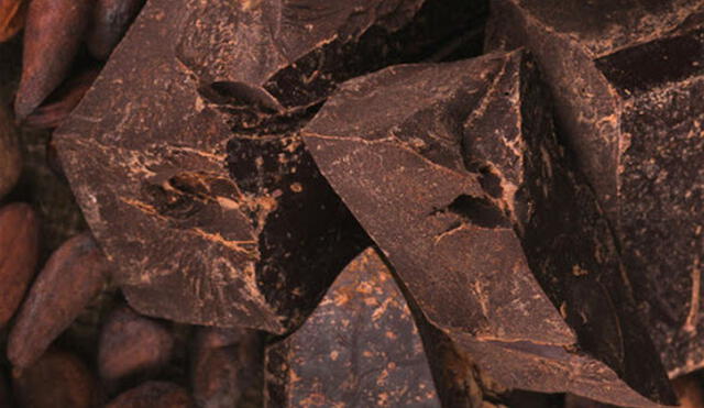 En el proceso industrial se realizan las operaciones de limpieza, descascarillado, tostado, y molturación, para obtener la Pasta de Cacao que es el principal ingrediente del chocolate. Foto: difusión
