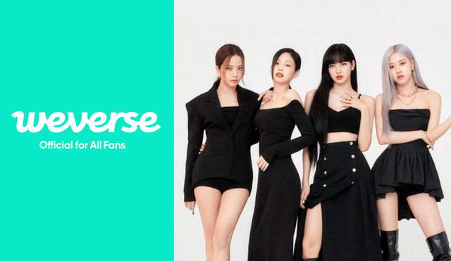 ¿Cuándo llega BLACKPINK a Weverse? Conoce aquí lo que se sabe sobre el debut de las idols en la plataforma de fans. Foto: composición BIGHITMUSIC/YG