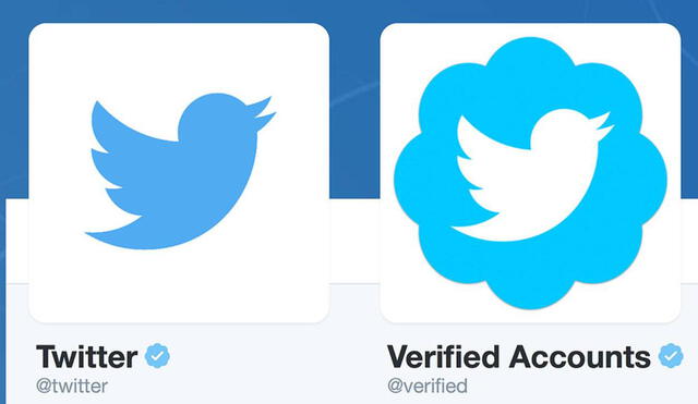 Las cuentas fake no habían realizado ni un solo tuit y todas compartían casi los mismos seguidores. Foto: Twitter