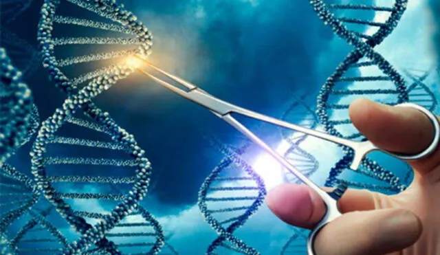 El Premio Nobel de Química 2020 fue destinado a dos científicas por un hallazgo en 2012: las tijeras genéticas, capaces de modificar el ADN de animales, plantas y microorganismos. Foto: Universidad de Tel Aviv.