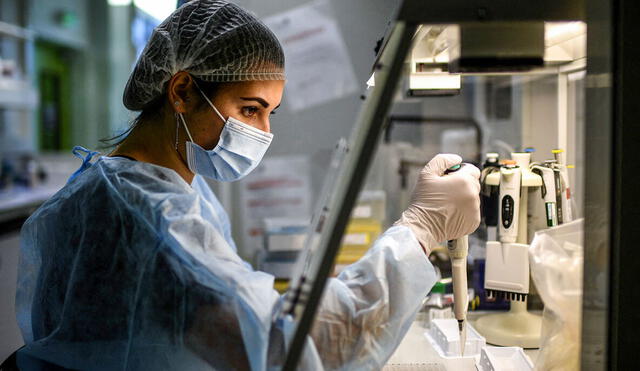 Científicos de India desarrollaron una vacuna experimental tolerante al calor. Foto referencial: AFP