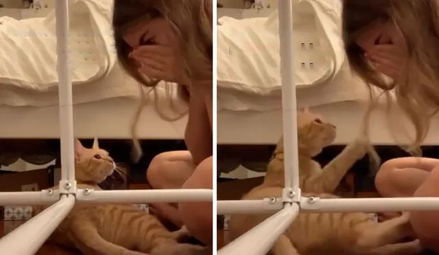 Una joven se cubrió los ojos para hacerle creer a su gatito que estaba llorando y se sorprendió con su tierna reacción. Foto: captura de Facebook