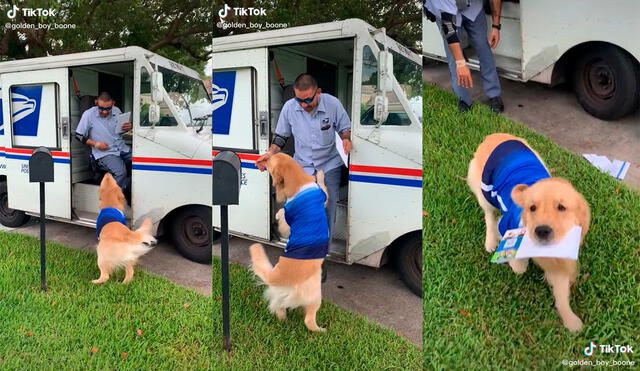 El trabajador postal no pudo evitar emocionarse con la enternecedora conducta del can. Foto: captura de TikTok