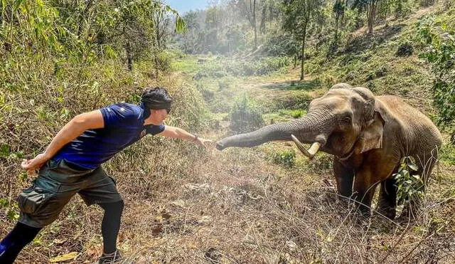 Pattarapol le hizo una seña al elefante, quien respondió acercando su trompa hacia su mano. Foto: captura de Facebook