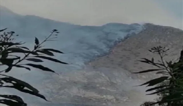 Incendio provocó serios daños en la cobertura natural. Foto: Andina