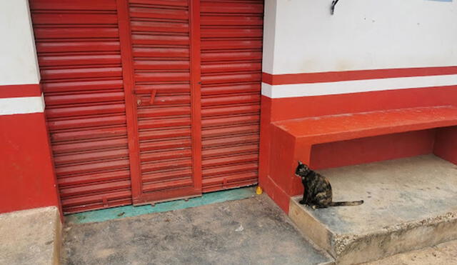 Un gatito llamó la atención de una localidad luego que se colocó en los exteriores de una tienda; sin embargo, desconocía del fallecimiento del dueño. Foto: Manuel López/ Facebook