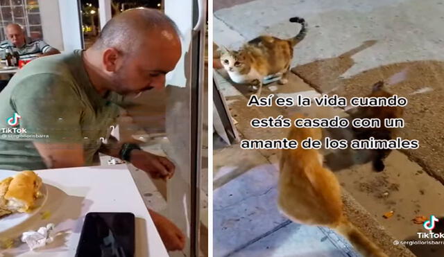 Una mujer captó el preciso momento en que su pareja ofreció su cena a unos gatitos en malas condiciones que se colocaron frente a un restaurante. Foto: captura de TikTok
