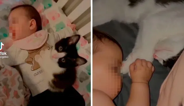 Unos padres presentaron a su hija con su gatito para conocer su reacción; sin embargo, se sorprendieron cuando ambos formaron un vínculo especial. Foto: captura de Facebook