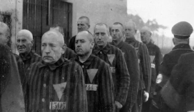 Prisioneros uniformados con insignias triangulares  bajo la guardia nazi en el campo de concentración de Sachsenhausen, Alemania, en 1938. Foto: United States Holocaust Memorial Museum