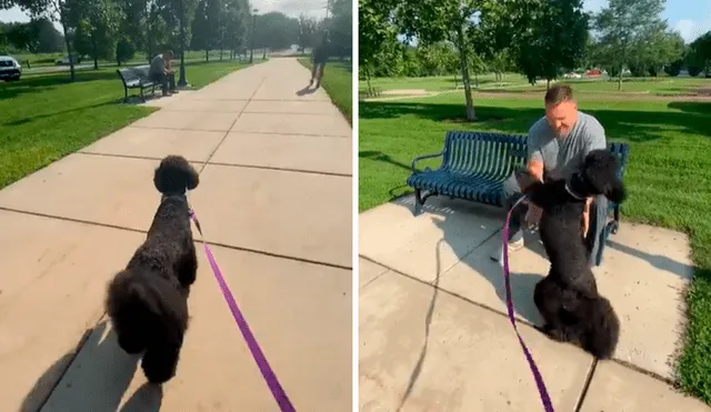 Pese a los diez meses que estuvieron separados, la mascota recordaba muy bien a su exentrenador. Foto: captura de TikTok