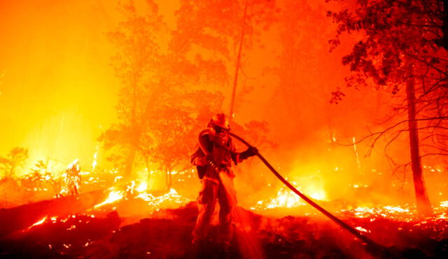 Un bombero apaga las llamas mientras avanzan hacia las casas durante el incendio de Creek, en el área de Cascadel Woods del condado no incorporado de Madera, California. Foto: AFP