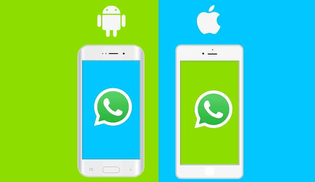 Los usuarios de WhatsApp en iPhone pueden pixelar los fotos sin instalar ninguna app adicional. Foto: Tu Experto