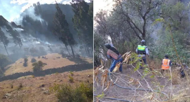 Incendio afectó 30 hectáreas de cobertura natural. Foto: difusión