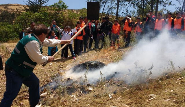 Suman Esfuerzos Para Prevenir Incendios Forestales En Cajamarca