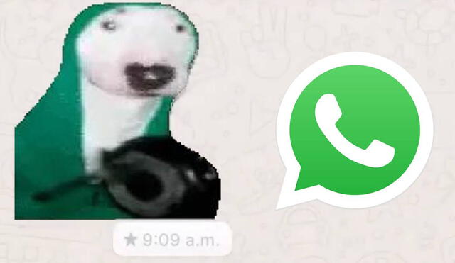 El truco está disponible para los usuarios de WhatsApp que tengan un Android. Foto: Fayerwayer