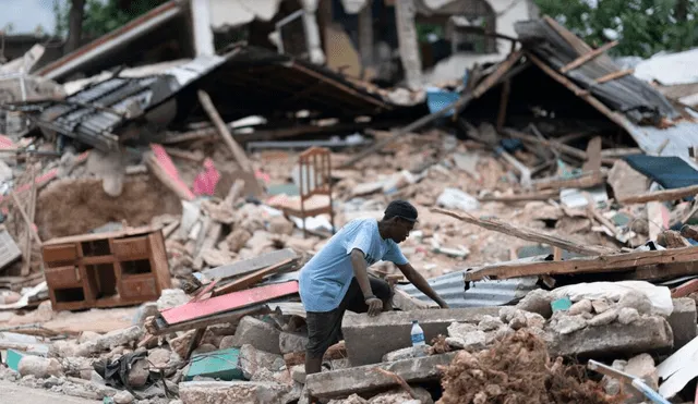 España aportará 250.000 euros a la respuesta de Cruz Roja para atender las necesidades tras el terremoto en Haití. Foto: Xinhua News