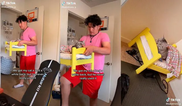 El minino provocó las risas de sus dueños por su peculiar actuación. Foto: captura de TikTok