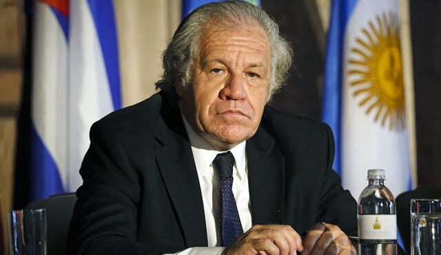 Luis Almagro, secretario general de la OEA, calificó como “infamia” las acusaciones sobre su apoyo al golpe de Estado en Bolivia. Foto: AFP