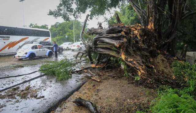 El huracán Nora tocó tierra el sábado en Puerto Vallarta, donde dejó fuertes lluvias y causó daños materiales como inundaciones y derrumbes. Foto: EFE