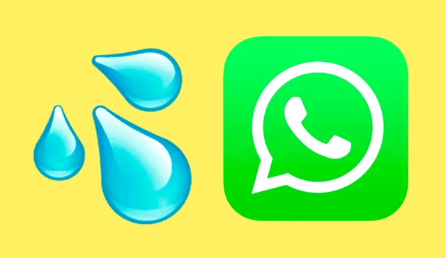 Hay dos maneras de usar este emoji de WhatsApp: una con una connotación sexual y otra más deportiva. ¿Cuál usas tú? Foto: composición/La República