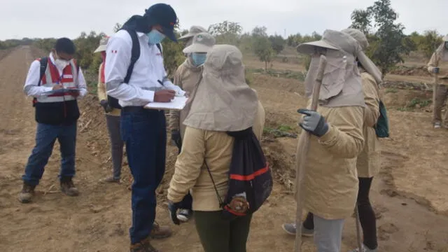 Personal de Sunafil fiscalizó condiciones de trabajo en agroexportadoras de Lambayeque. Foto: Sunafil