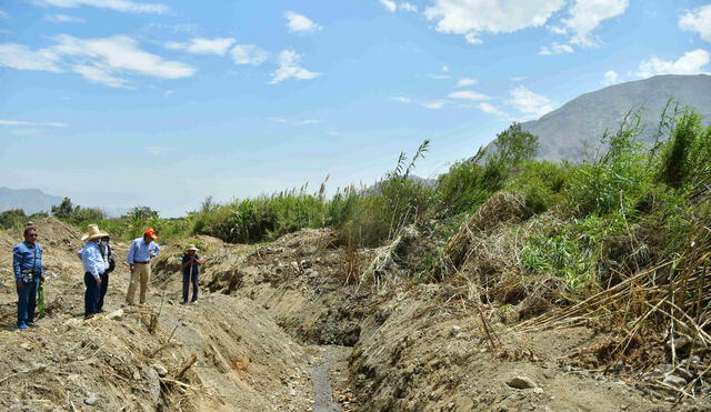 Agricultores necesitan qochas ante eventual escasez de agua para riego. Foto: GRLL