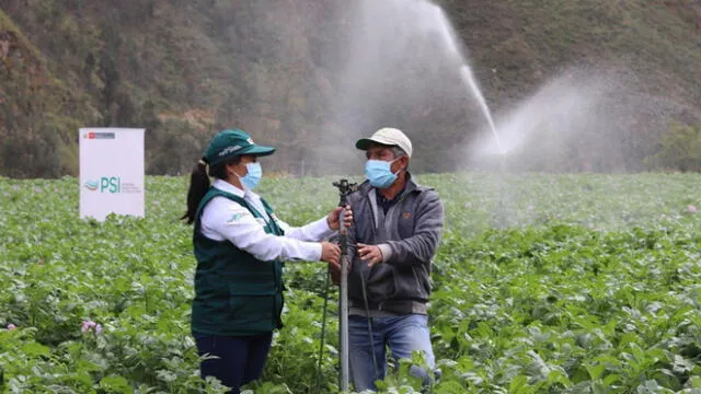 Agricultores de Cajamarca son capacitados en riego tecnificado. Foto: PSI-Midagri