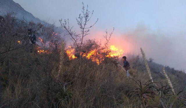 Cusco: gran incendio forestal en Urubamba amenaza viviendas