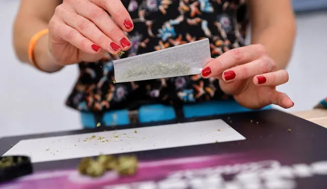 Consumo "diario o casi diario" de cannabis también aumentó entre jóvenes. Foto: AFP